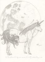 Unicorn and the Moon